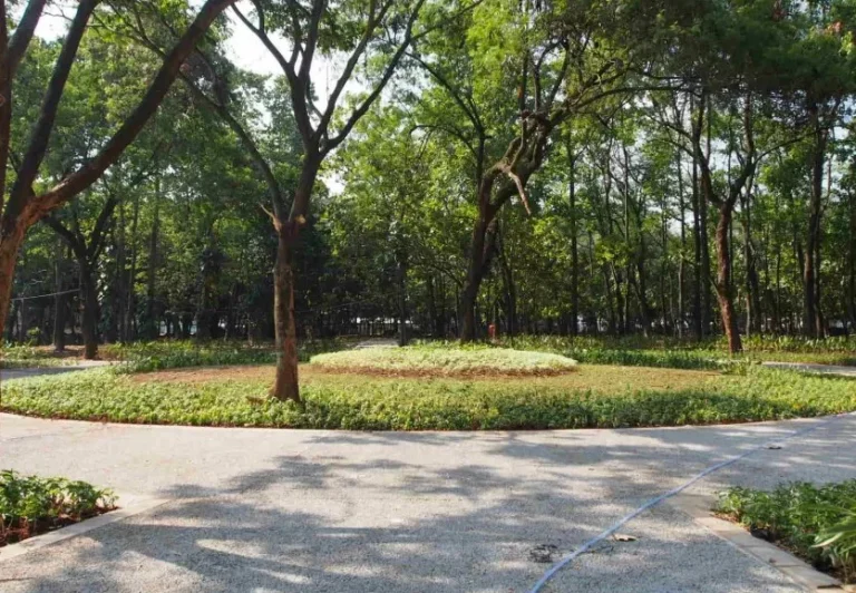 Revitalisasi Jalur Pedestrian Gelora Bung Karno (GBK), Jakarta - 2